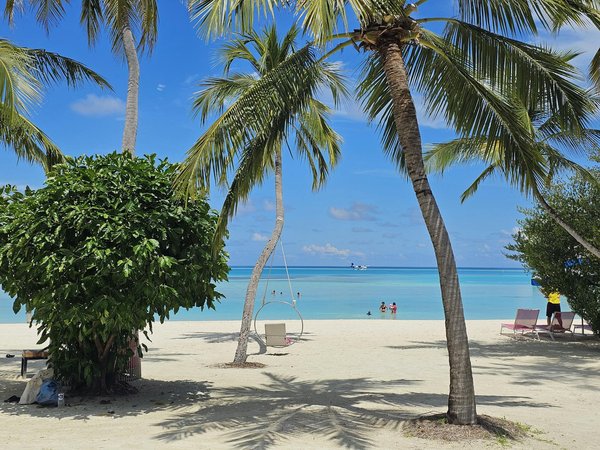 Summer Puffin Photography Hotspots: Discover Scotland"s Top Coastal Towns!